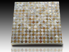 River Shell Mosaic 041
