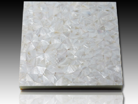 River Shell Mosaic 043