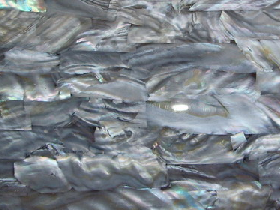 Mother of Pearl Mosaic for Hammam 012