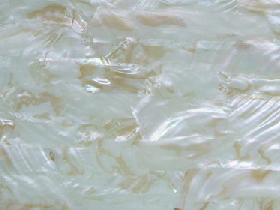 Mother of Pearl Mosaic for Hammam 016