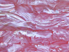 Mother of Pearl Mosaic for Hammam 019