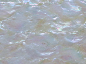 Mother of Pearl Mosaic for Hammam 010