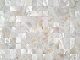 Shell Mosaic