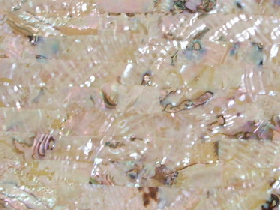 Mother of Pearl Mosaic for Hammam 001