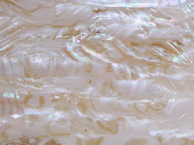 Mother of Pearl Mosaic for Hammam 018