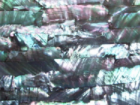 Mother of Pearl Mosaic for Hammam 006