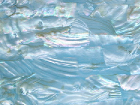 Mother of Pearl Mosaic for Hammam 014