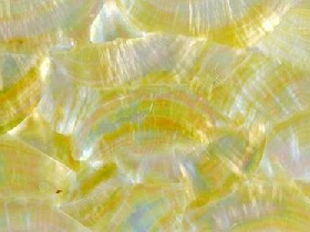 Mother of Pearl Mosaic for Hammam 009