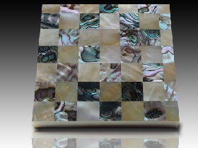 River Shell Mosaic 048