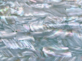 Mother of Pearl Mosaic for Hammam 015