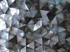 Mother of Pearl Mosaic 001