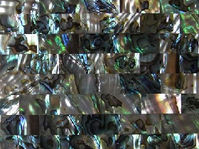 Abalone Shell Mosaic Tiles Green Retangle