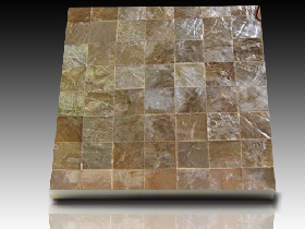 River Shell Mosaic 042