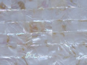 Mother of Pearl Mosaic for Hammam 011
