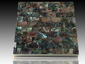 River Shell Mosaic 039