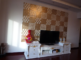 Shell Mosaic Tile TV Setting Wall
