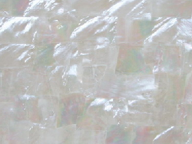 Mother of Pearl Mosaic for Hammam 025
