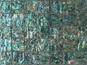 Abalone Shell Panels With Gap