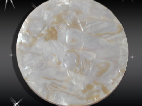 River Shell Mosaic 034