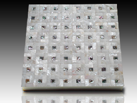 River Shell Mosaic 044