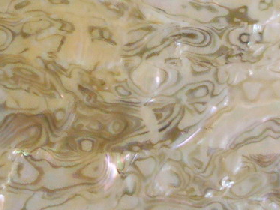 Mother of Pearl Mosaic for Hammam 023
