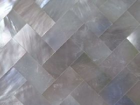 Fresh Water Shell Tile