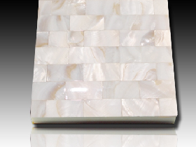 River Shell Mosaic 032